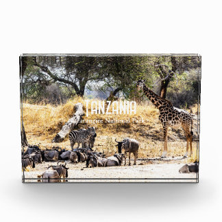 Bloque Para Fotos Parque Nacional Tarangire