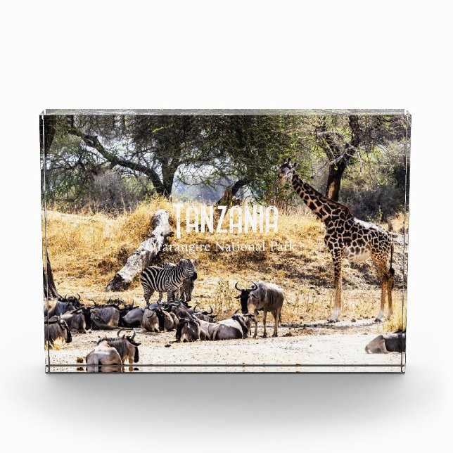 Bloque Para Fotos Parque Nacional Tarangire (Anverso)