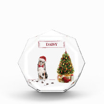 Pastor australiano Navidades graciosos perro con á