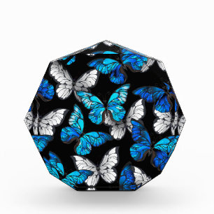 Bloque Para Fotos Patrón oscuro sin costuras con mariposas azules Mo