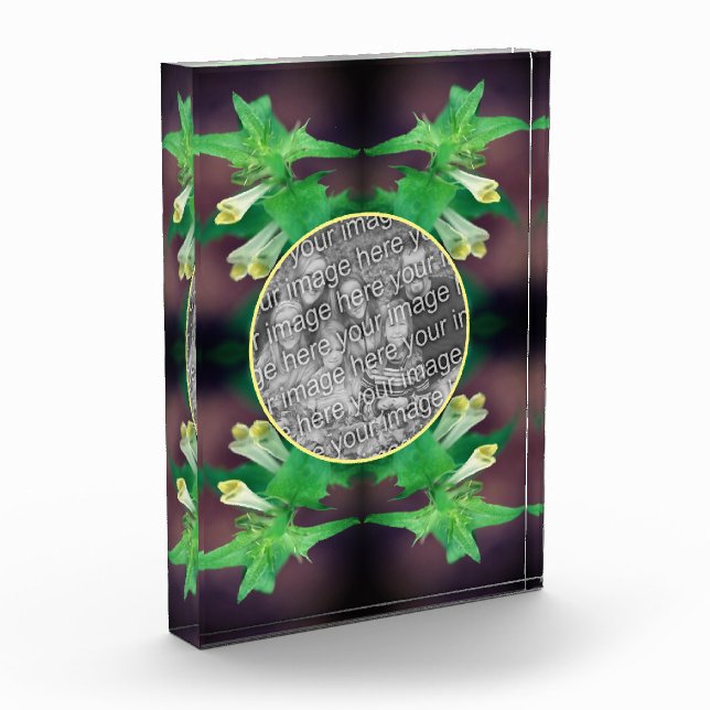 Bloque Para Fotos Pequeña Flor Silvestre Blanca Crea Tu Propia (Izquierda)