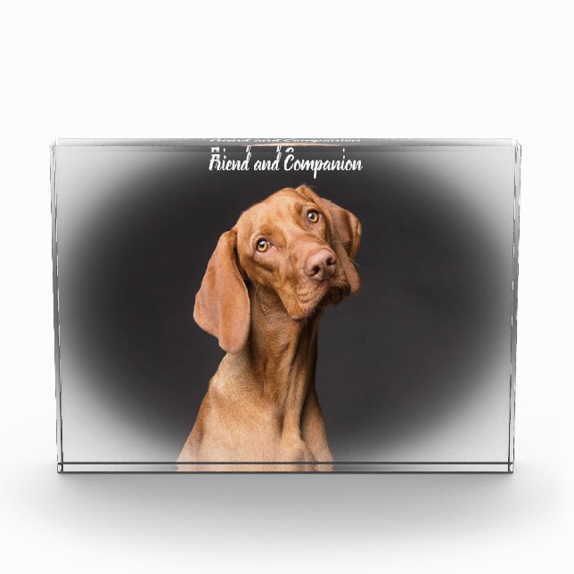 Bloque Para Fotos Perro Beagle (Anverso)