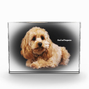 Bloque Para Fotos Perro Cockapoo.