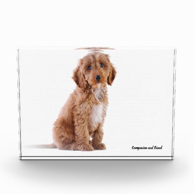 Bloque Para Fotos Perro Cockapoo. (Anverso)