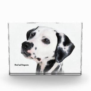 Bloque Para Fotos Perro Dalmata.