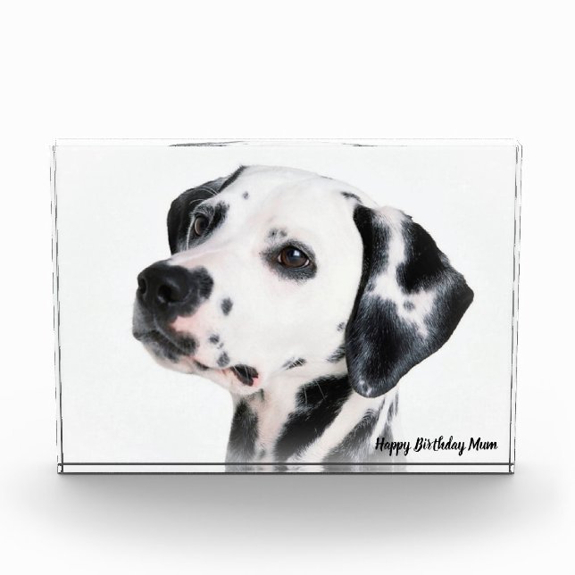 Bloque Para Fotos Perro dálmata. (Anverso)
