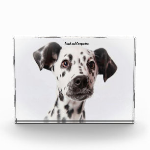 Bloque Para Fotos Perro Dalmata.