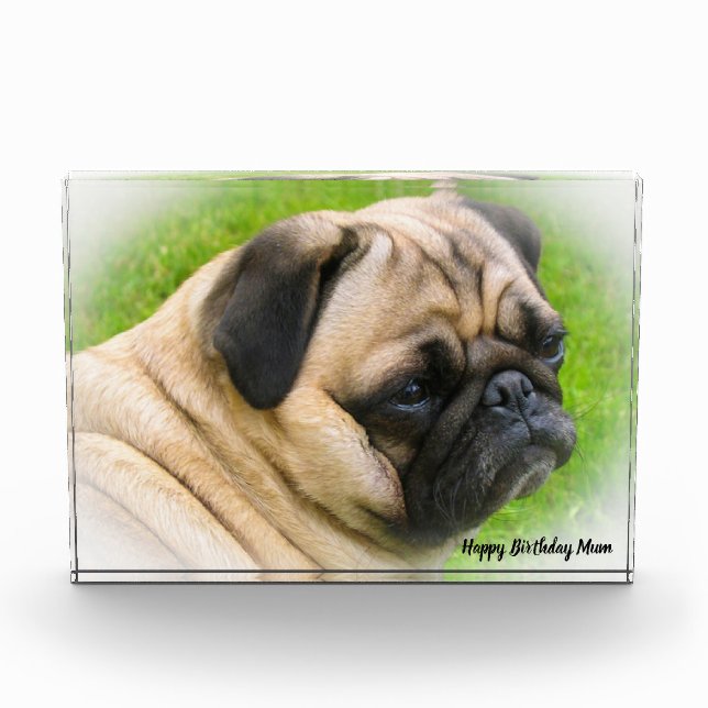 Bloque Para Fotos Perro Pug. (Anverso)