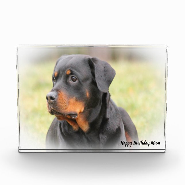 Bloque Para Fotos Perro Rottweiler (Anverso)
