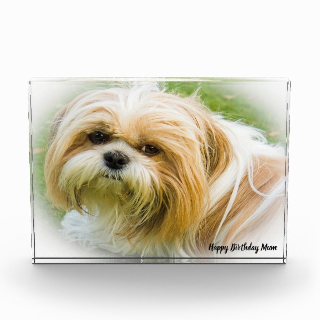 Bloque Para Fotos Perro Shih Tzu (Anverso)