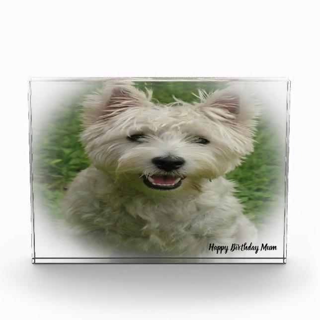 Bloque Para Fotos Perro Terrier Westie. (Anverso)