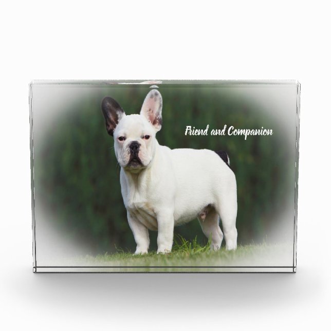 Bloque Para Fotos Perros Pug (Anverso)
