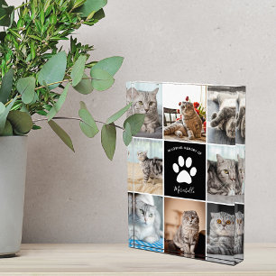 Bloque Para Fotos Personalizado de memoria de gato Mascota impresión