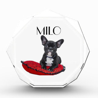 Bloque Para Fotos Personalized Dog 