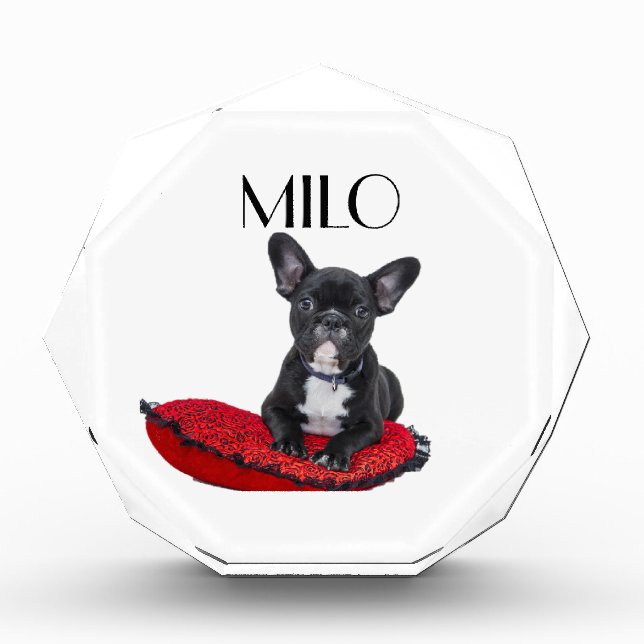 Bloque Para Fotos Personalized Dog  (Anverso)