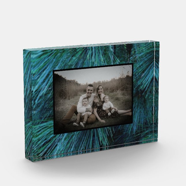 Bloque Para Fotos Pinos Rústicos bosques de pinos verdes evergreen (Izquierda)