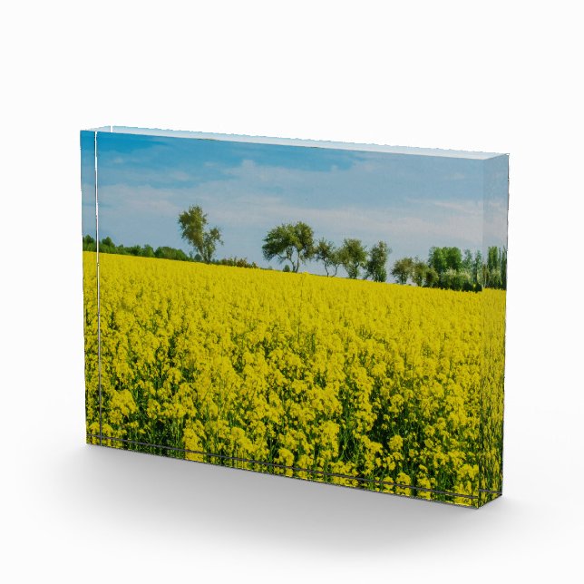 Bloque Para Fotos Pintura de campo de flores amarillas (Derecha)