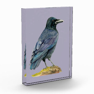 Bloque Para Fotos Pintura de la acuarela del cuervo
