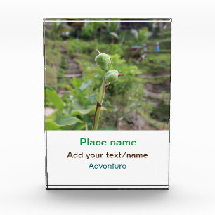 Bloque Para Fotos Plantas naturales fotografía nombre de viaje en ag