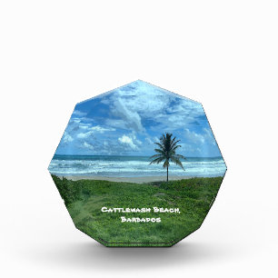 Bloque Para Fotos Playa de Cattlewash