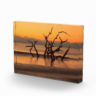 Bloque Para Fotos Playa Driftwood al amanecer Jekyll Island Georgia