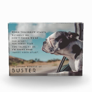 Bloque Para Fotos Poema fotográfico conmemorativo del mascota