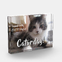 Por Aquí Todos Los Días Es Caturday Plantilla De G