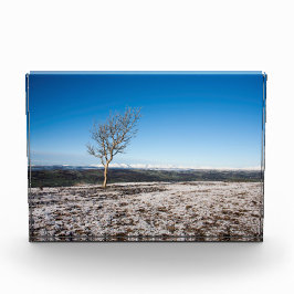 Bloque Para Fotos Poster de tarjetas de vacaciones Scout Scar