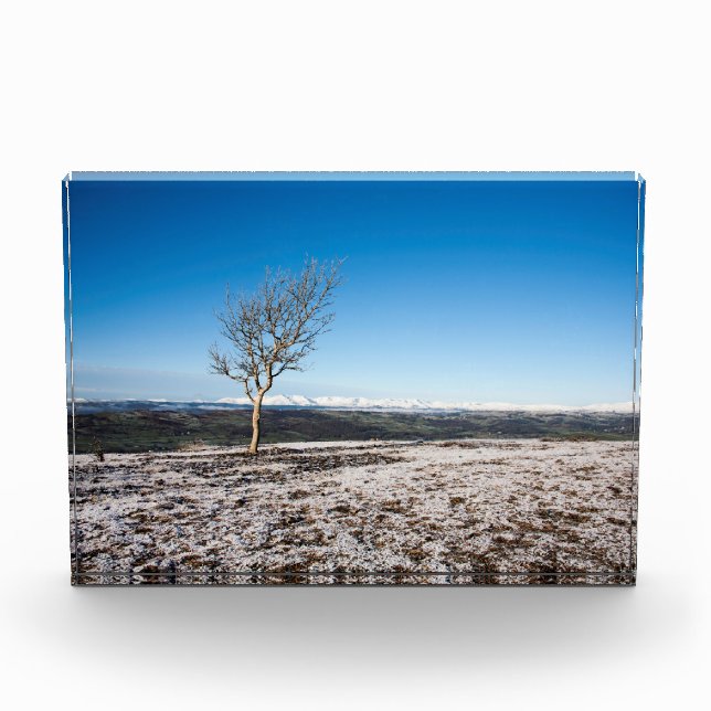 Bloque Para Fotos Poster de tarjetas de vacaciones Scout Scar (Anverso)