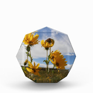Bloque Para Fotos Puesta de sol de la pradera