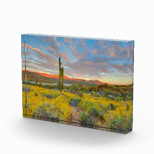 Bloque Para Fotos Puesta de sol en paisaje desértico