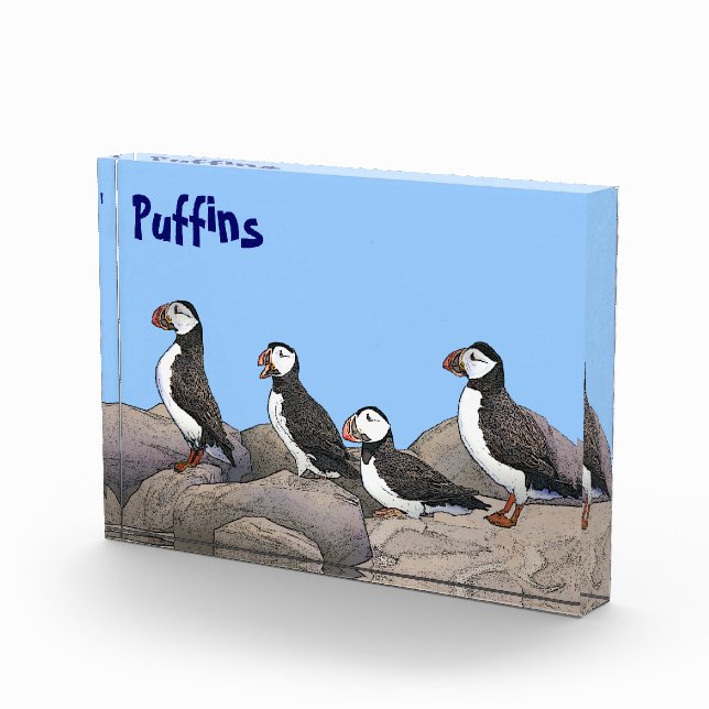 Bloque Para Fotos Puffins atlánticos (Derecha)