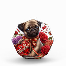pug san valentín