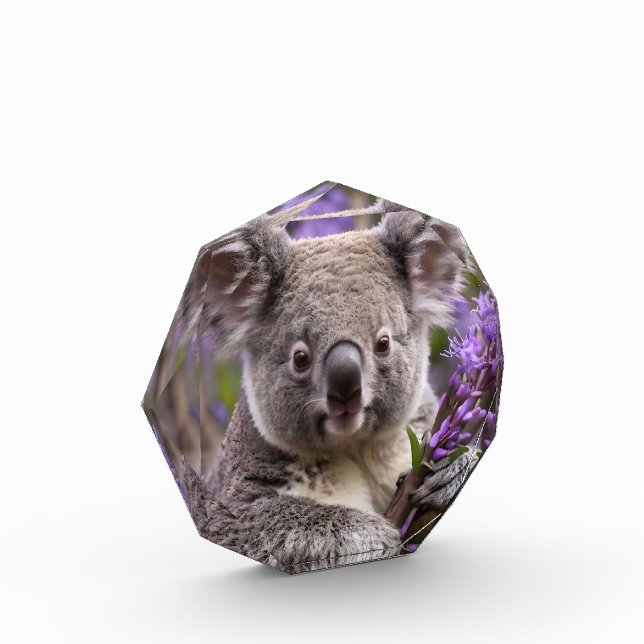 Bloque Para Fotos Purple Jacaranda Koala Bear, (Izquierda)