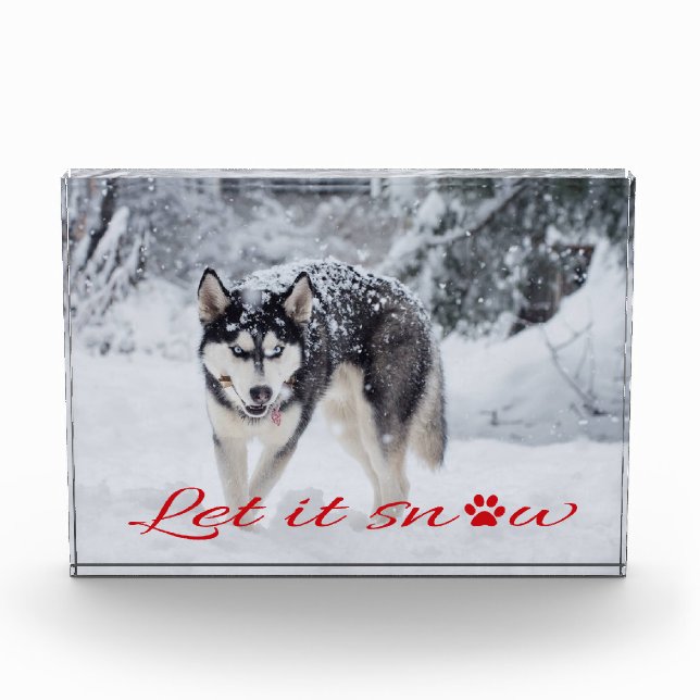 Bloque Para Fotos Que nieve (Anverso)