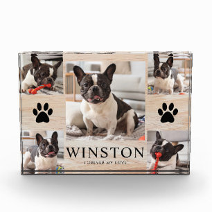 Bloque Para Fotos Recuerdo personalizable del memorial para perros