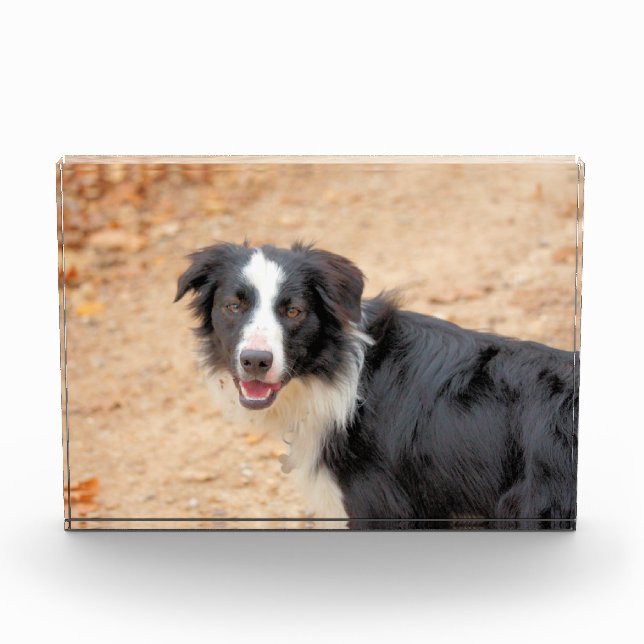 Bloque Para Fotos Rene (Anverso)