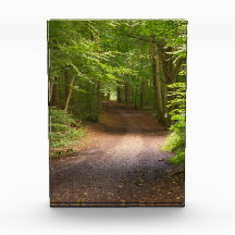 Resplandor de la naturaleza