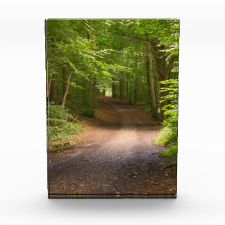 Bloque Para Fotos Resplandor de la naturaleza