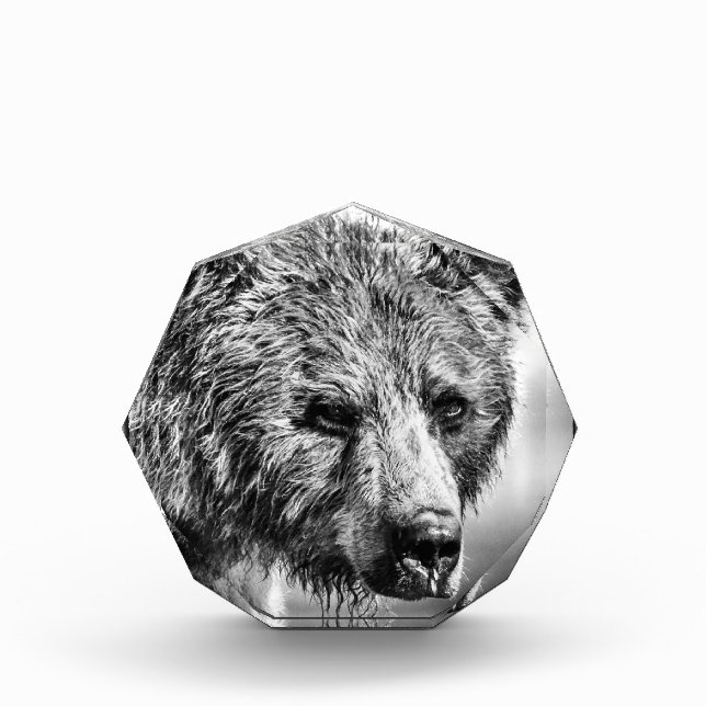 Bloque Para Fotos Retrato de oso pardo (Anverso)