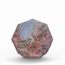 Bloque Para Fotos Reyezuelo de Corona Rubí