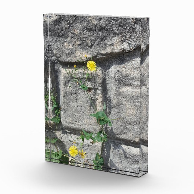Bloque Para Fotos Rock en la flor (Derecha)
