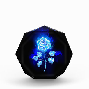 Bloque Para Fotos Rosa azul en llamas