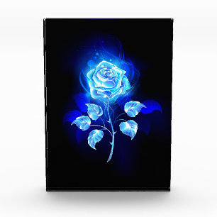 Bloque Para Fotos Rosa azul en llamas