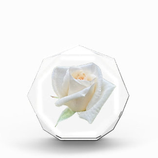 Bloque Para Fotos Rosa Blanca