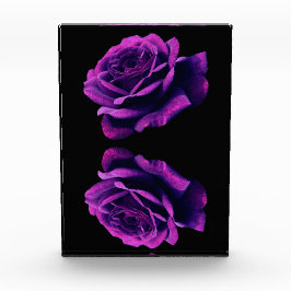 Bloque Para Fotos Rosa de amor