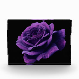 Bloque Para Fotos Rosa de amor