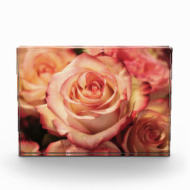 Bloque Para Fotos Rosa de color