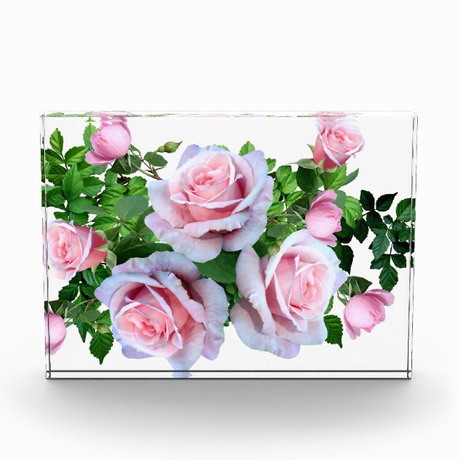 Bloque Para Fotos Rosa de Flores Rosa (Anverso)