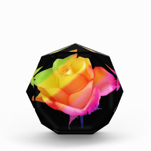 Bloque Para Fotos rosa mágica en los colores del arco iris